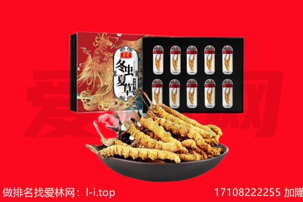 越秀区回收虫草.jpg
